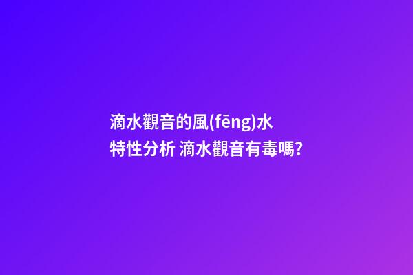 滴水觀音的風(fēng)水特性分析 滴水觀音有毒嗎？